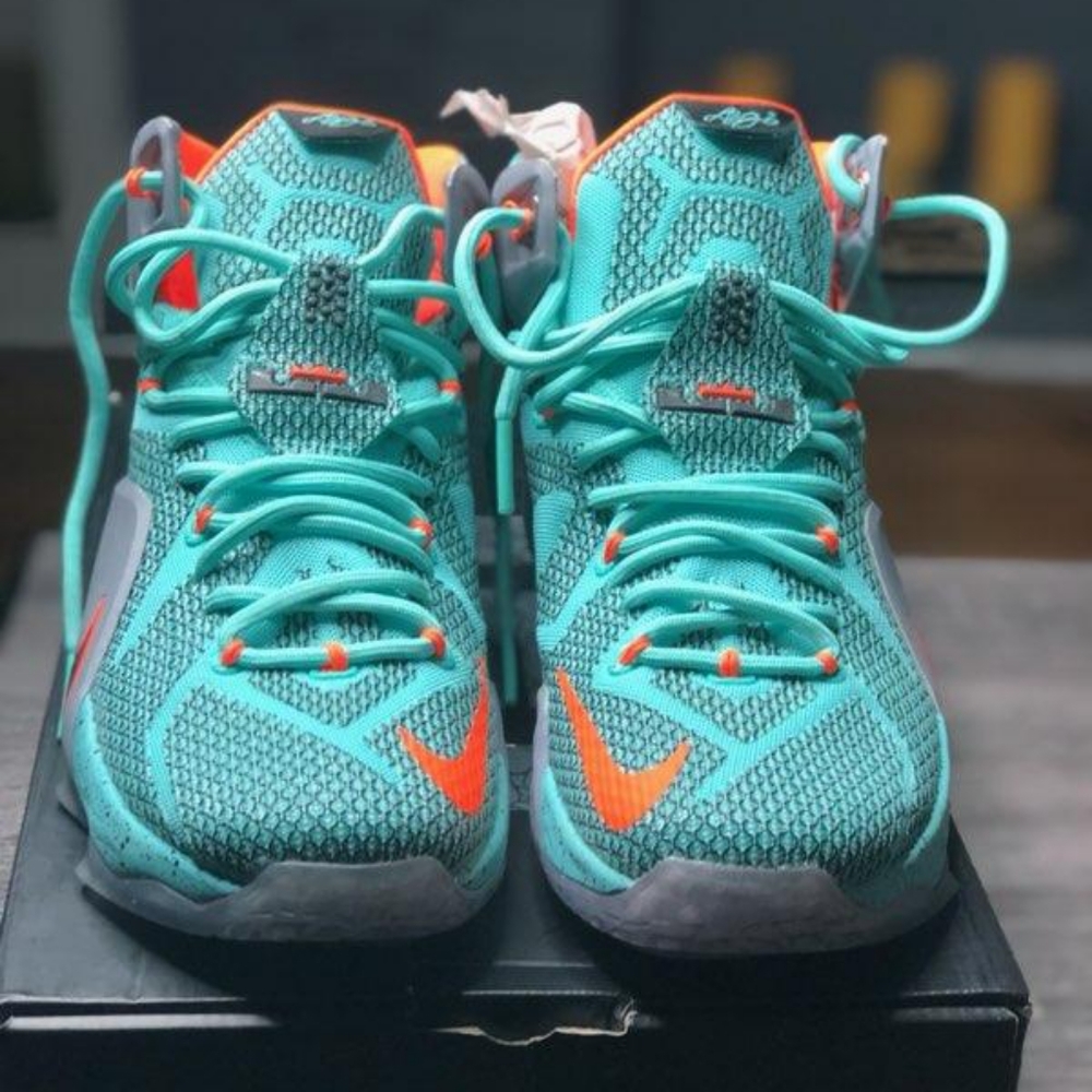 Lebron XII SIZE 9